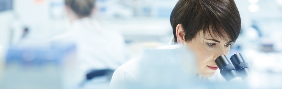 Access our expertise