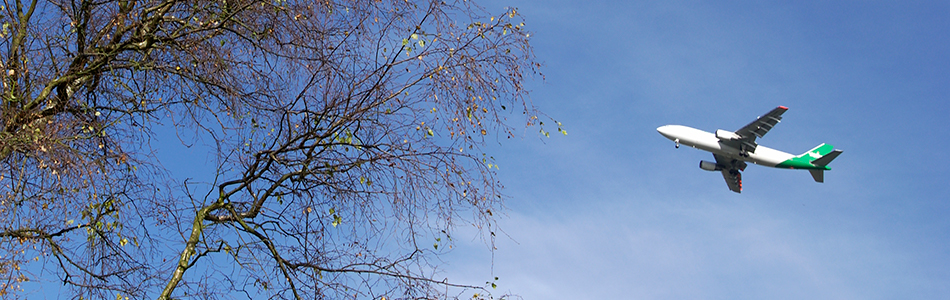 Studying abroad after Brexit