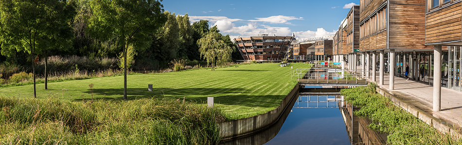 Lake, grassland and buildings at Jubilee Campus