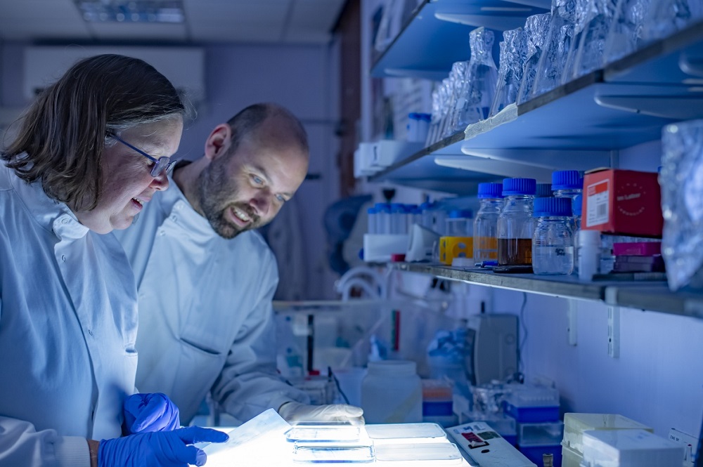 Staff in the medical school