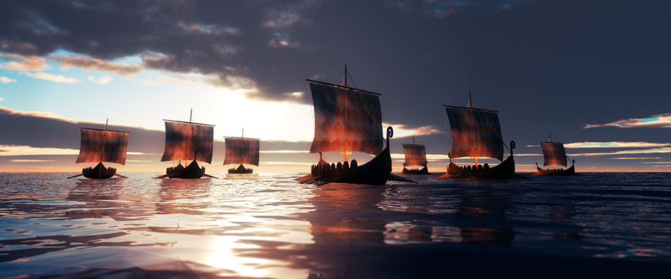 Viking ships