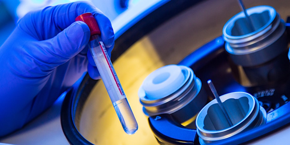 Nottingham biomedical research centre artwork