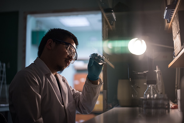 Postgraduate student studying aquatic pigments in the Environmental Change Laboratory