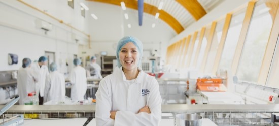 Undergraduate student