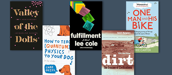 Covers of a selection of our summer book recommendations