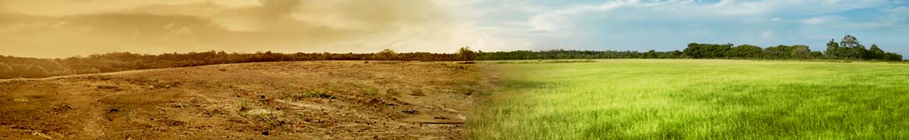 Fields and trees but with clean and sustainable on one side, polluted and dry on other