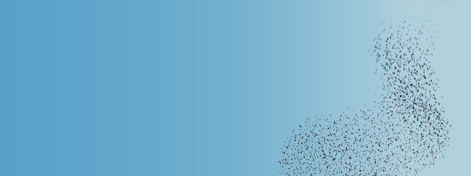 Abstract cluster of people