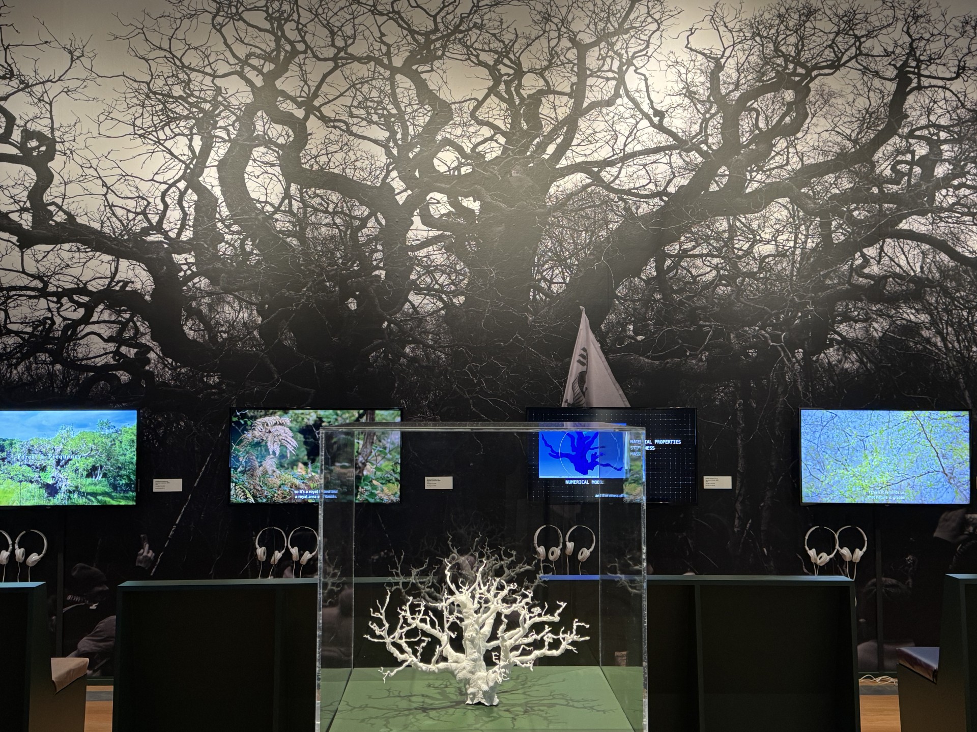 thumbnail_IMG_5920_forest