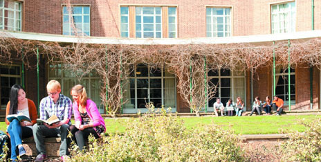 University Structure