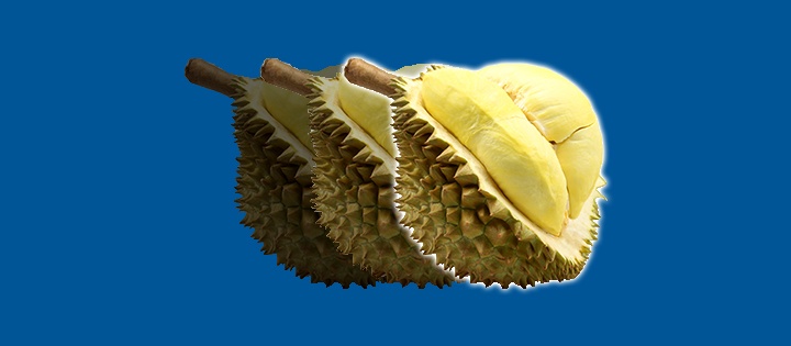 Durian fruit