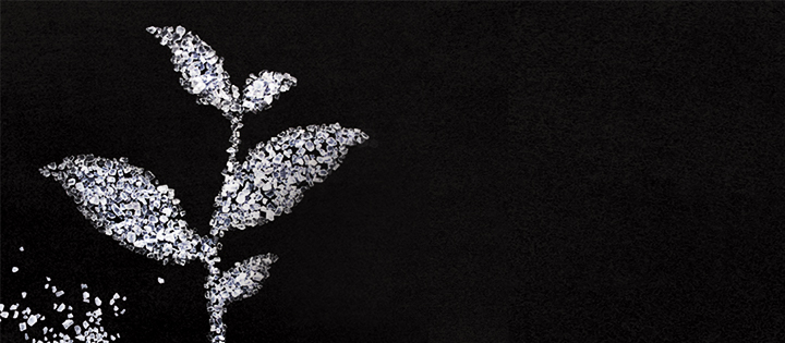 An image of a plant made up of salt crystals 