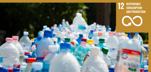 Collection of plastic bottles in various shapes, sizes and colours