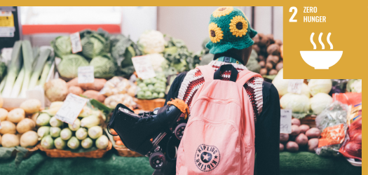 A person wearing a pink backpack and green hat browsing a market stand full of vegetables