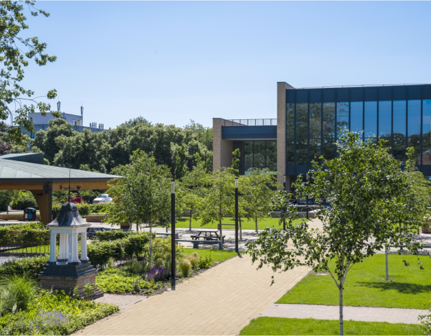 Campus building with green spaces and trees on a sunny day