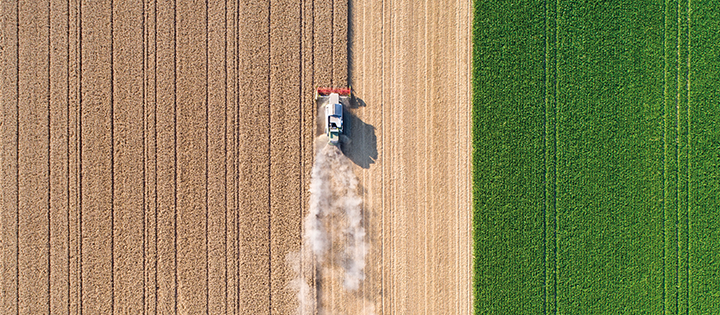A tractor harvesting
