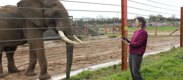 Photo of Dr Lisa Yon with an elephant behind a fence