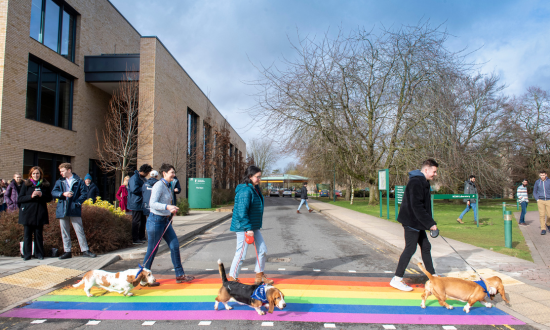 A group of people walking across the university campus