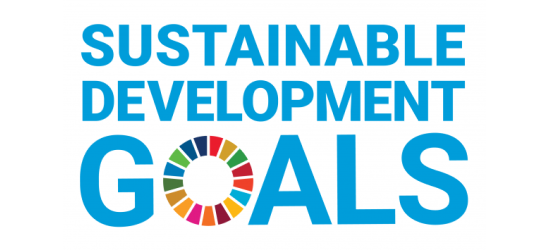 SDG Logo